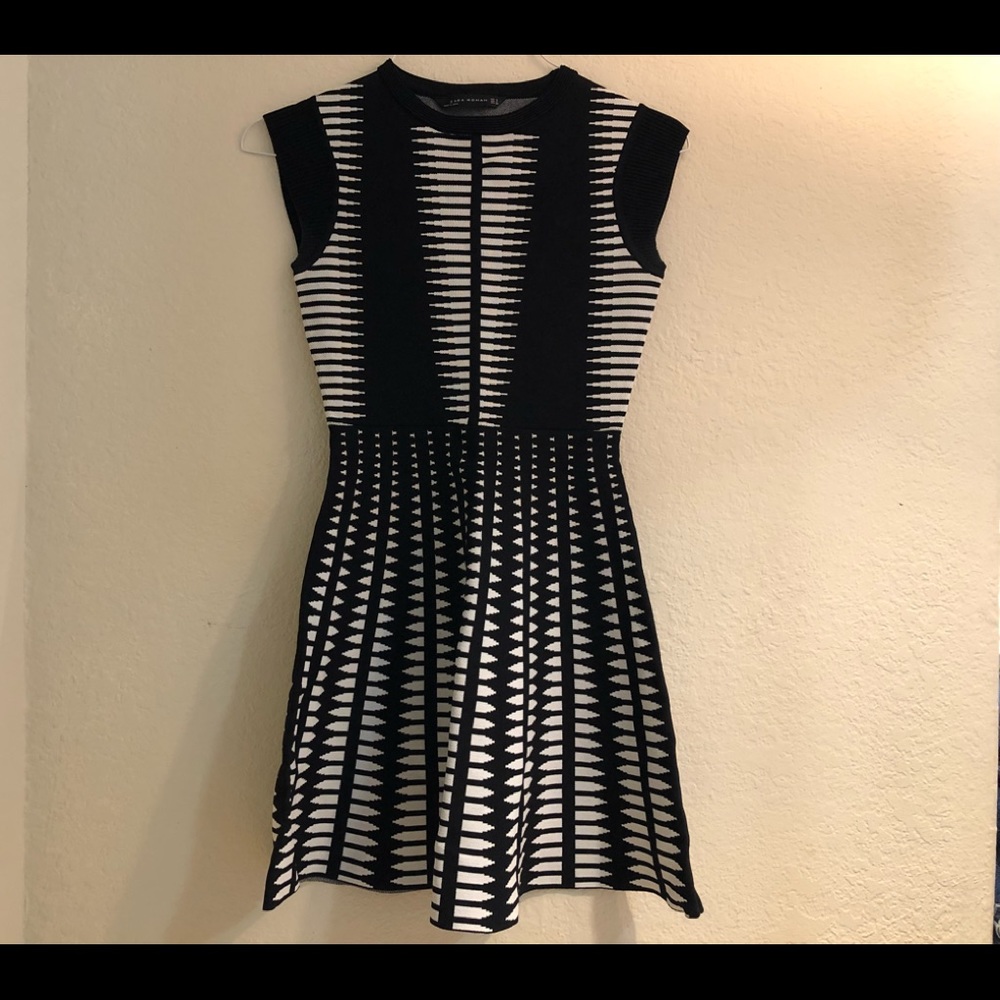 Beautiful Zara Black & White Stretchy Dress